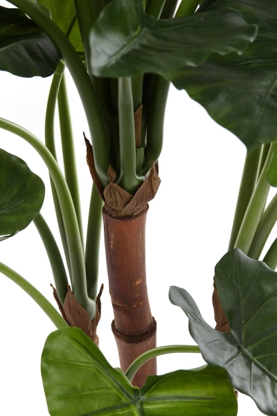 Sztuczna Alokazja Calidora 125 cm deluxe