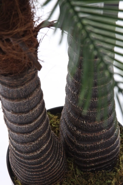 Sztuczna palma Cykas 150 cm 2 pnie