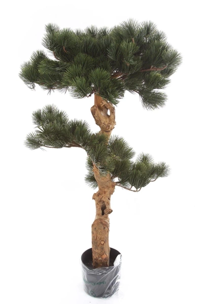 Sztuczny Bonsai Sosna Pinia 110 cm deluxe