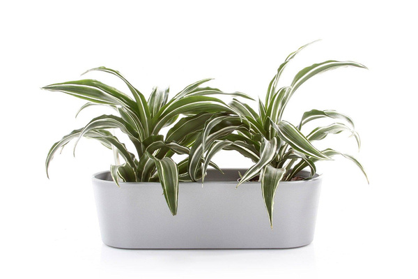 Zestaw do hydroponiki 9/7 osłonka podłużna Flori 27x10/8 antracytowa