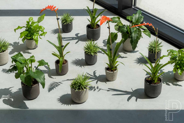 Charlie XXXS 8,5/7,5 biała doniczka kamienna na kaktusy