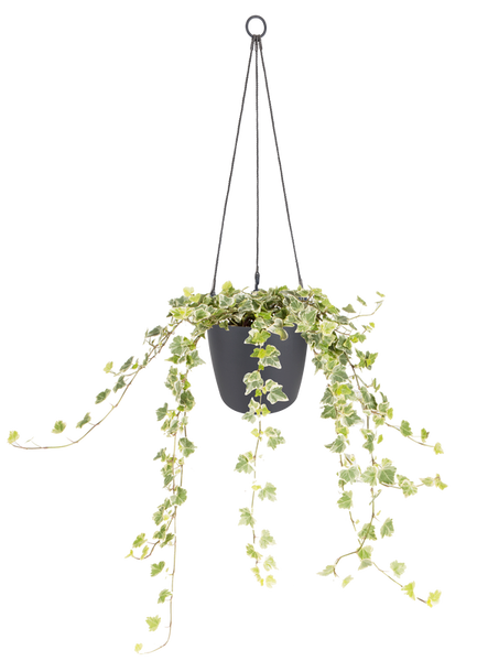 Brussels 18 doniczka wisząca antracytowa