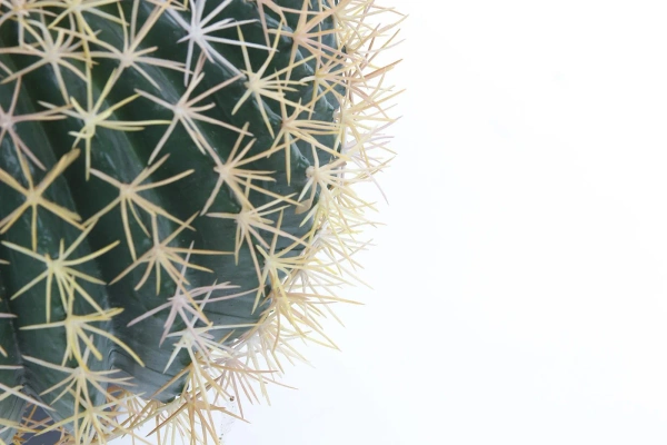 Sztuczny kaktus Barrel beczkowaty 46 cm