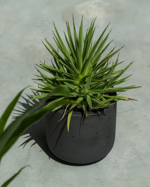 Charlie S 15/14,5 czarna doniczka cylindryczna kamienna