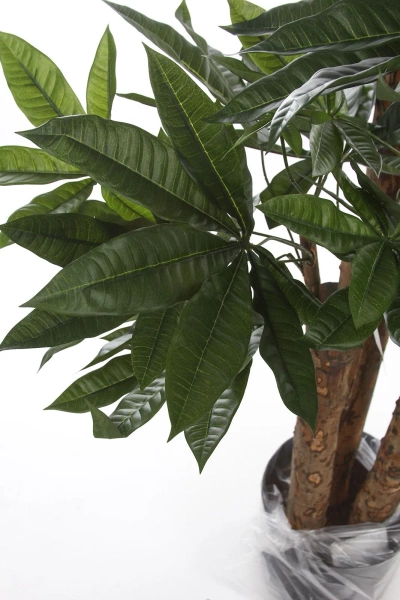 Sztuczna Pachira 175 cm d85 cm