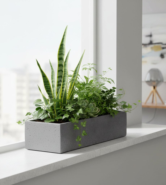 Balcony Slim Low S 50x15/9 szary donica na parapet