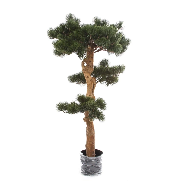 Sztuczny Bonsai Sosna Pinia 110 cm deluxe