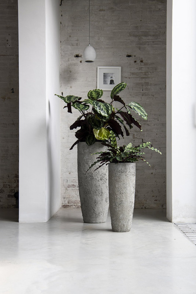 Dax M 24/60 wysoka doniczka naturalna cesarska biel / imperial white