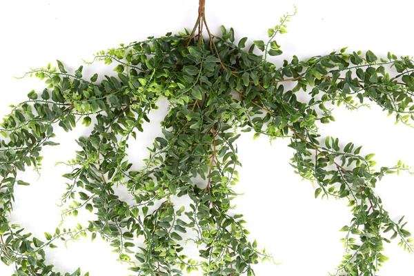 Sztuczna Paproć zwisająca pnącze 100 cm