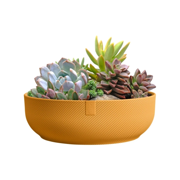 Jazz Bowl 28 misa żółta amber yellow