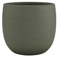 oliwkowy / olive green