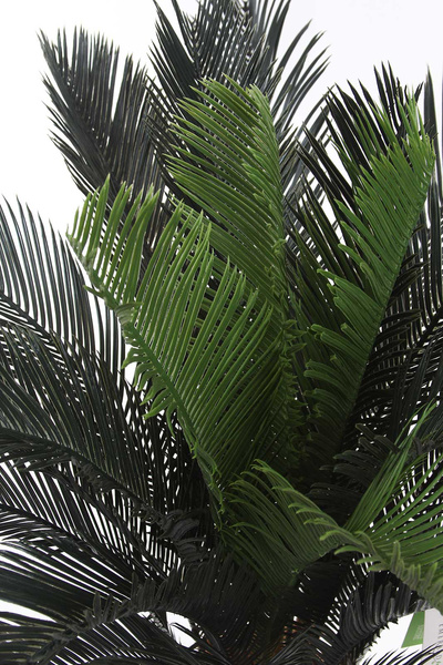 Sztuczny Cykas revoluta Sagowiec odwinięty 90 cm 24 liście