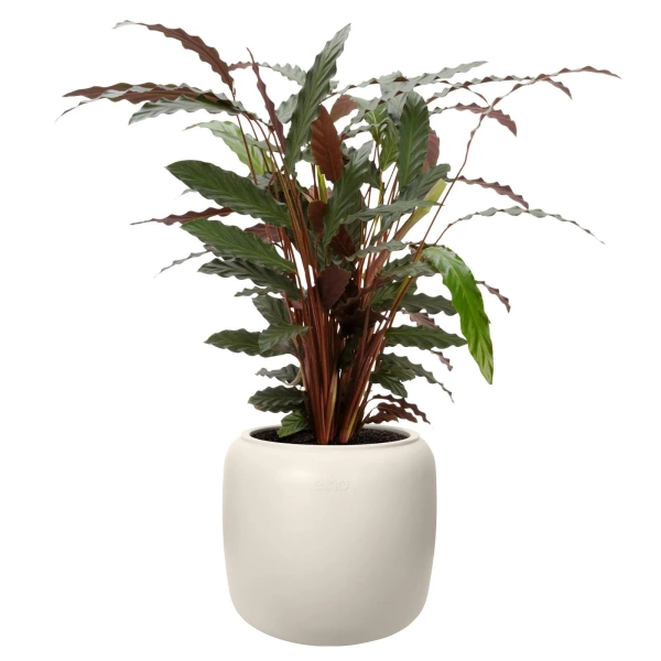 Amber Beads Small 39/35 designerska donica do salonu biała linen white