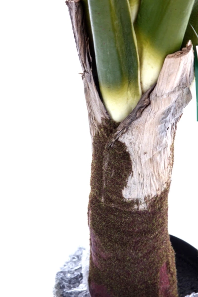 Sztuczna Kolokazja wysoka na pniu 160 cm