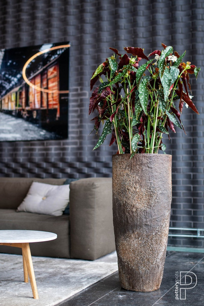 Dax M 24/60 brązowa wysoka donica naturalna ostryga oyster