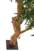 Sztuczny Bonsai Podocarpus 65 cm UV