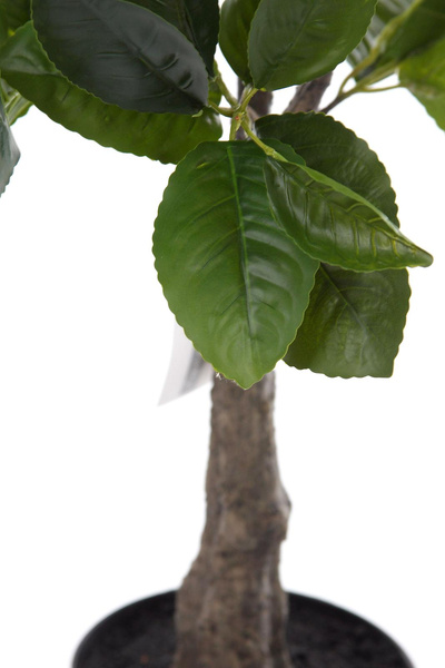 Sztuczne drzewko cytrynowe 70 cm