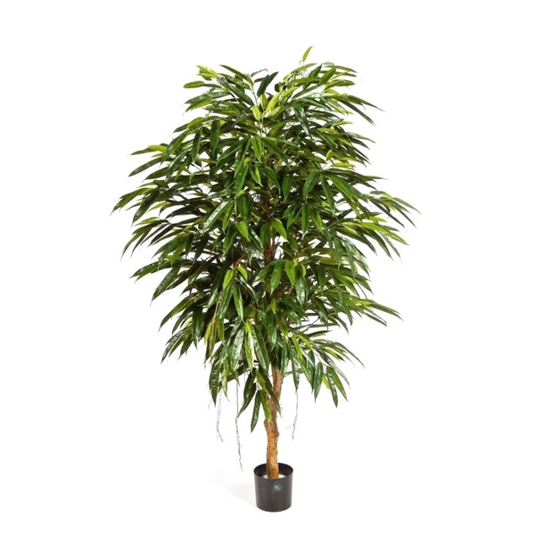 Sztuczny Fikus Royal Longifolia 180 cm 1287 liści