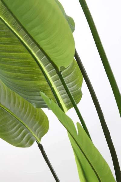 Sztuczna Strelicja nicolai wysoka 180 cm 13 liści