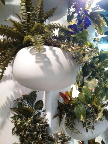 GREENPILLS kwietnik biały