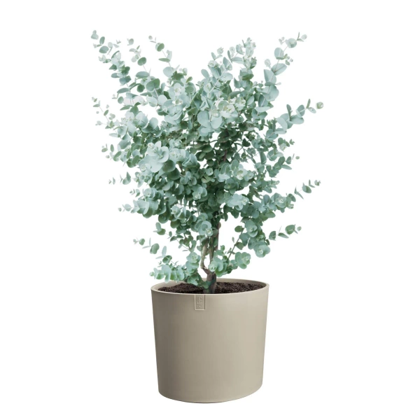 Eden 30 donica asymetryczna soft taupe Elho