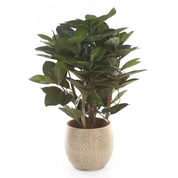 Madeira 28/28 kremowa osłonka ceramiczna wzorki