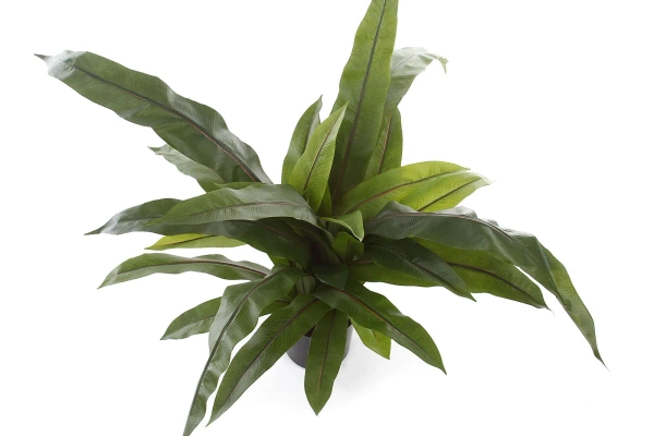 Sztuczne Asplenium paproć 80 cm 33 liście