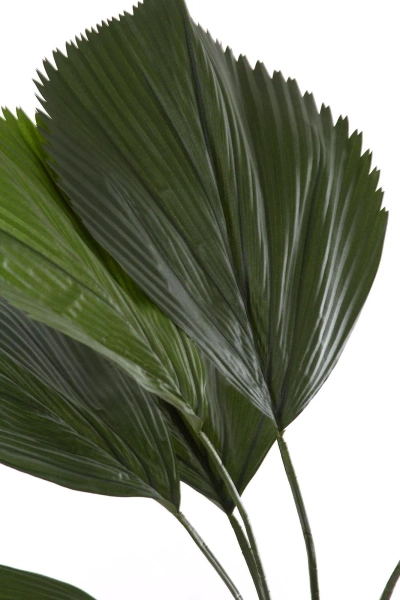 Sztuczna Palma Licuala 140 cm