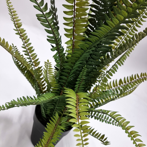 Sztuczna Paprotka Boston 70 cm w doniczce