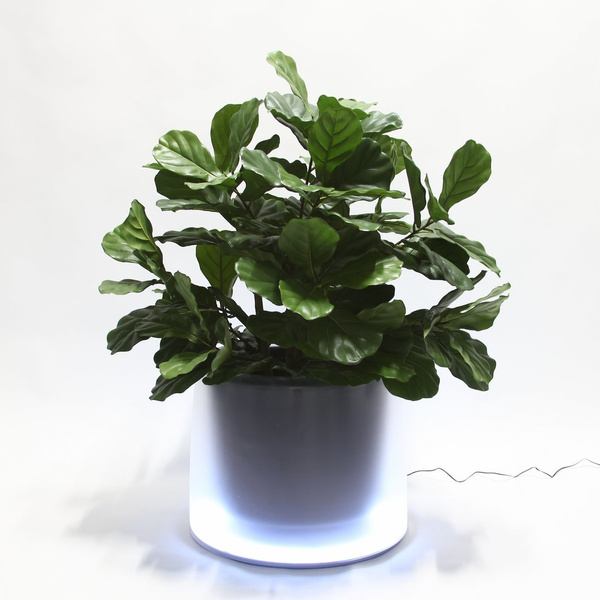 ICE LIGHT 54/43 donica z podświetlanym dnem kolor taupe