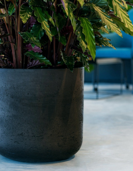 Charlie XL 32/31 czarna donica cylindryczna kamienna