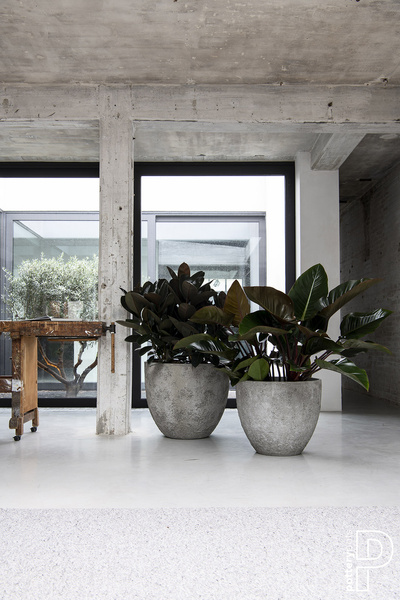 BERND L 53/60 donica naturalna tekstura cesarska biel