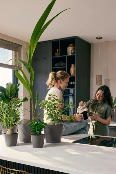 Coffee Collection Elho 22/21 osłonka espresso brown