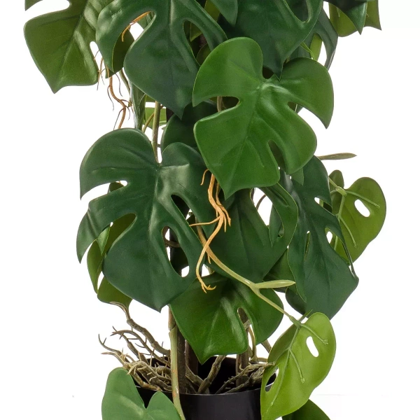 Sztuczna Monstera 75 cm 3 pnie