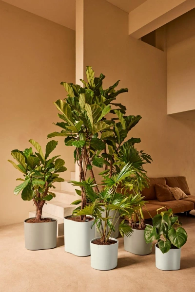 Eden Aquacare Low 40 niska donica owalna biała linen white system samonawadniający