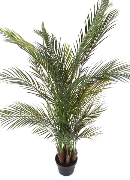 Sztuczne palma Areka 160 cm