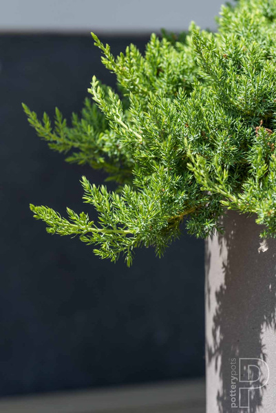 Max S 30/30 doniczka cylindryczna czarna