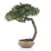 Sztuczny Bonsai Podocarpus Shankan 60/50 cm
