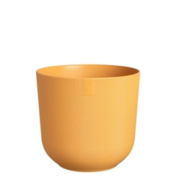 Jazz Elho 16 żółta osłonka wytłaczana amber yellow