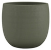 ś.16 w.14 \ oliwkowy / olive green