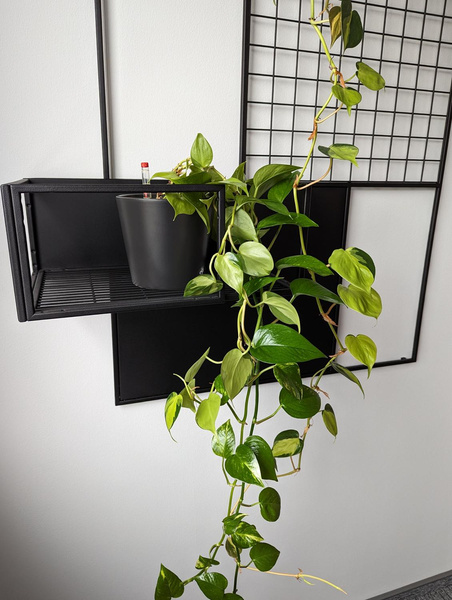 VASA 14/11 (MK11/9) grafitowa osłonka ceramiczna matowa