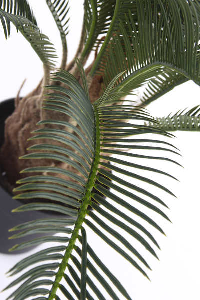 Sztuczny cykas 60 cm 18 liści