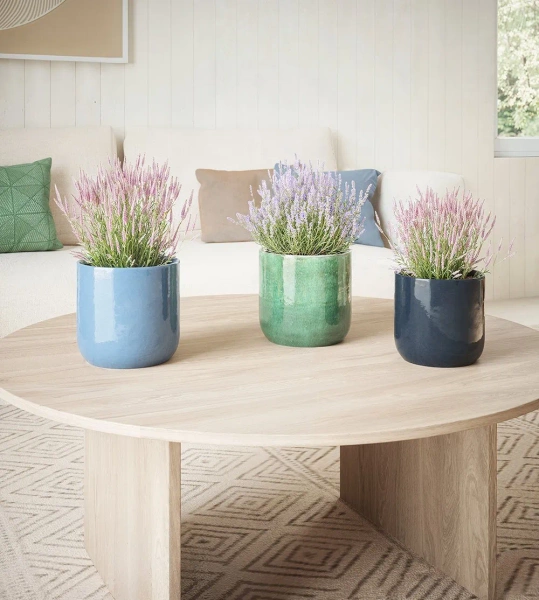 Jupiter 19/19 ceramiczna osłonka morska zieleń sea green