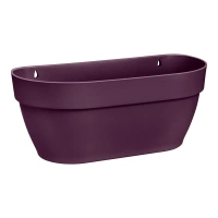 fioletowy / maple purple