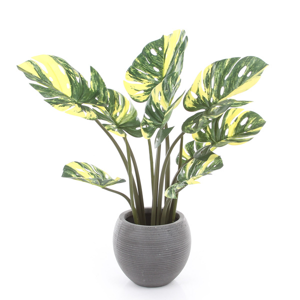 Sztuczna Monstera dziurawa Variegata żółta 60 cm