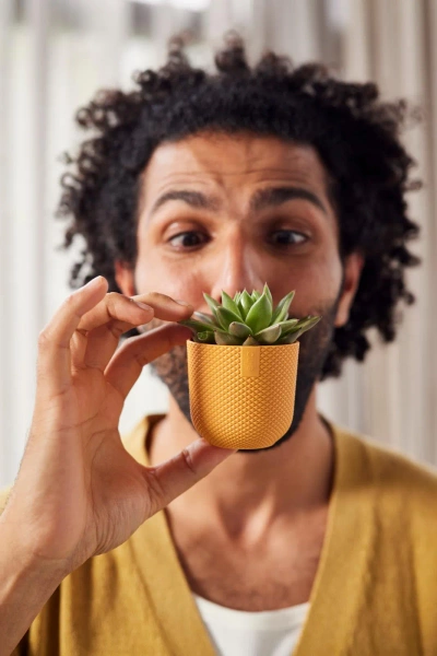 Jazz Elho 11 osłonka w kropki żółta