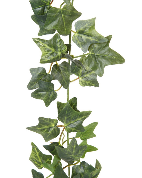 Sztuczny bluszcz hedera girlanda 180 cm 168 liści