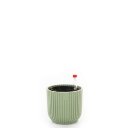 Zestaw do hydroponiki 5/5 osłonka mięta Vibes mini 7