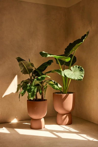 Amber Coupe Round 41/58 karmelowa nowoczesna donica piedestał