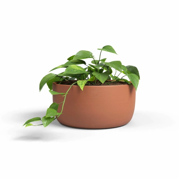 Urania Bowl 30/15 misa ceramiczna terakota